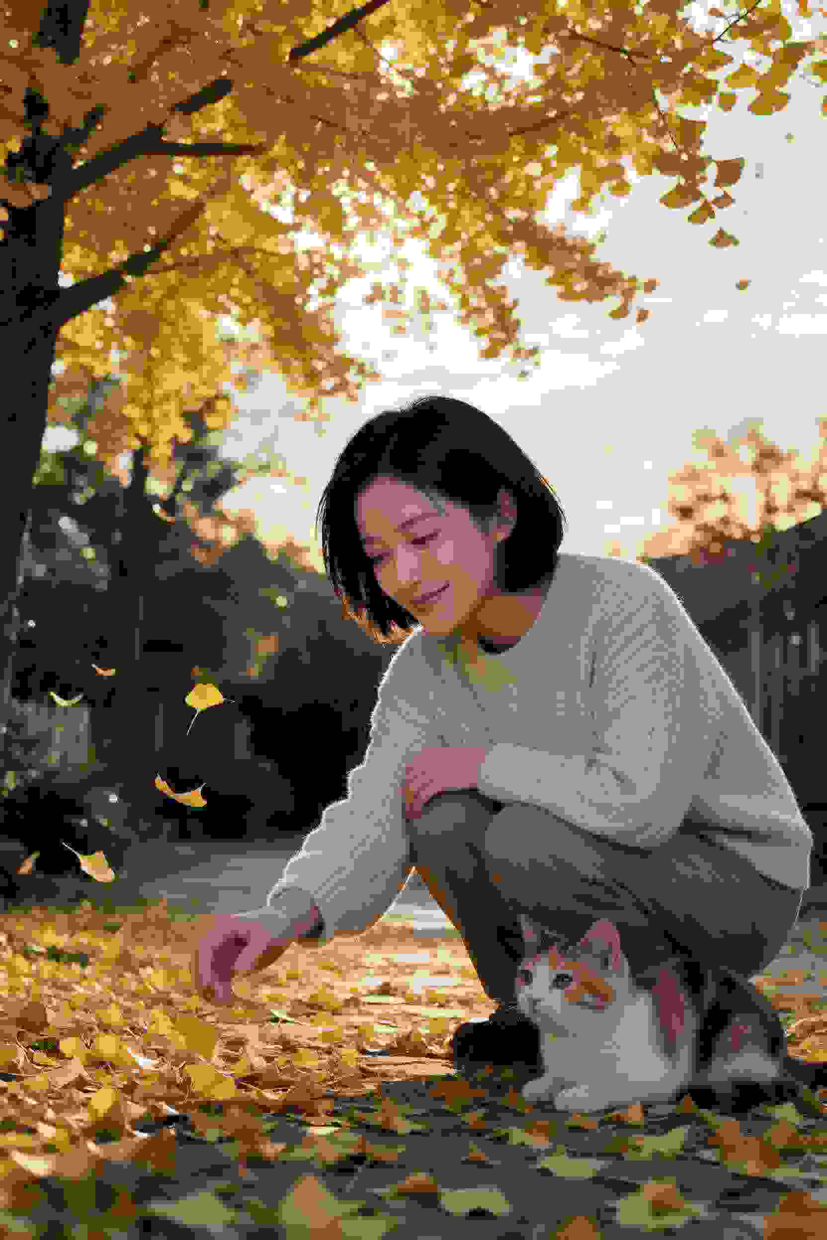 龙城传说